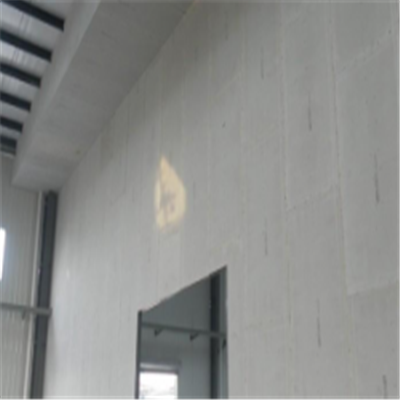 通州宁波ALC板|EPS加气板隔墙与混凝土整浇联接的实验研讨